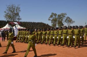 ndlea-invites-candidates-for-recruitment-screening-interview