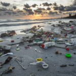 World Environment Day