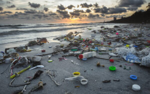 World Environment Day